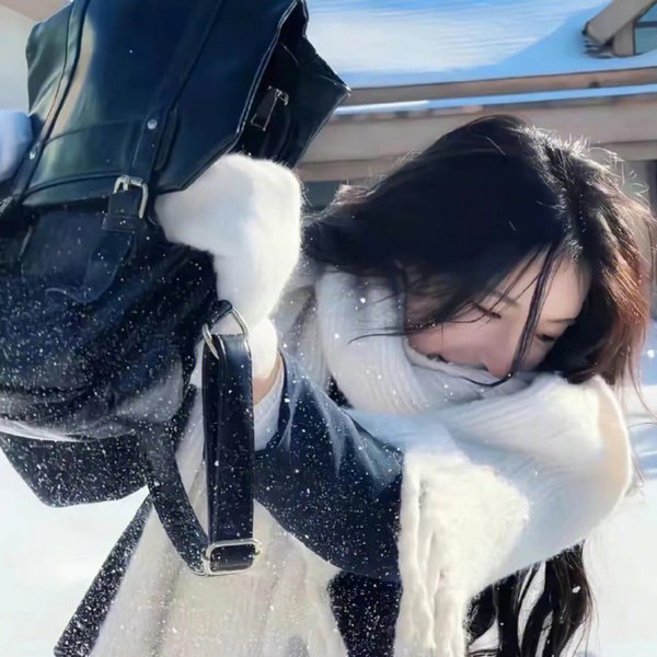 登帕卡农海报