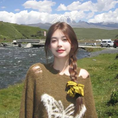 爱凡隆高校海报